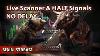 Live Scanner And Day Trade Ideas No Delay Morning Gappers Momentum And Halt Scanner 12 13 2024